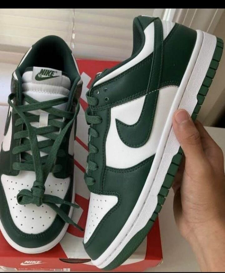 Baskets Nike Dunk élégantes