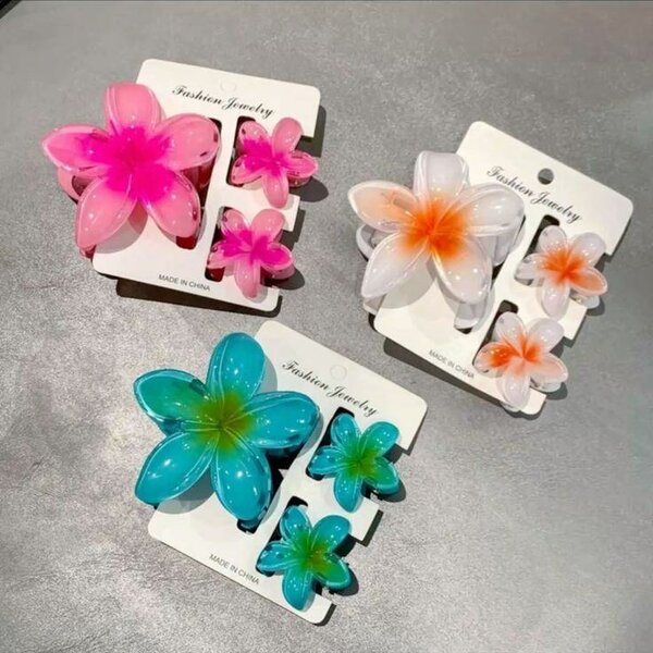 Barrettes à fleurs colorées