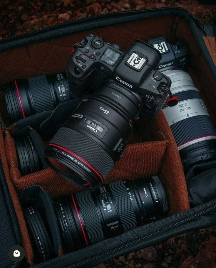 Caméras DSLR Canon et Sony