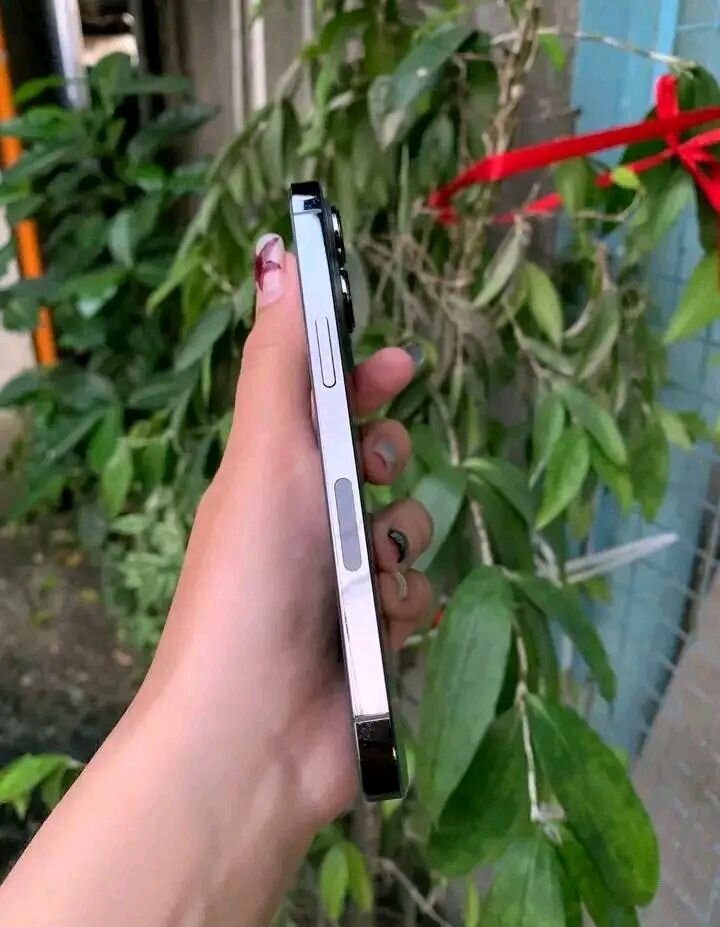 iPhone Pro Max 256GB