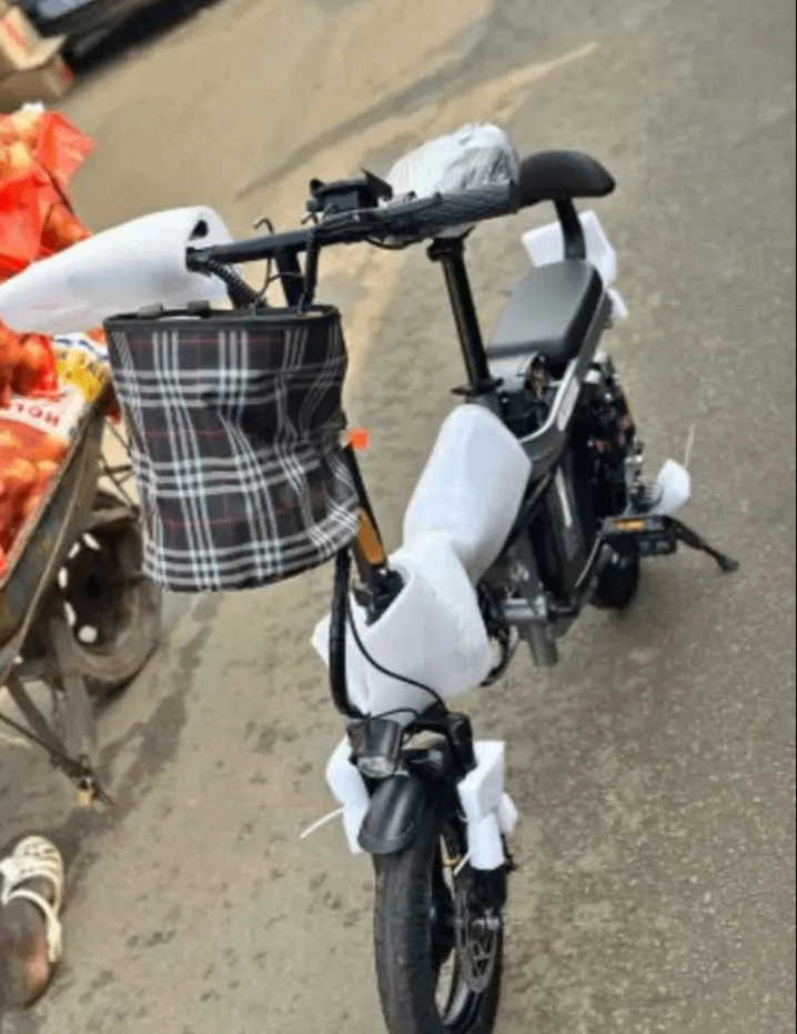 Vélo Électrique Pliable Compact