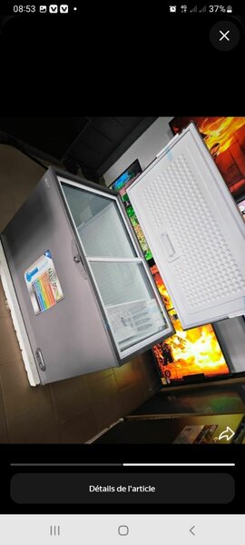 Congélateur robuste 200L