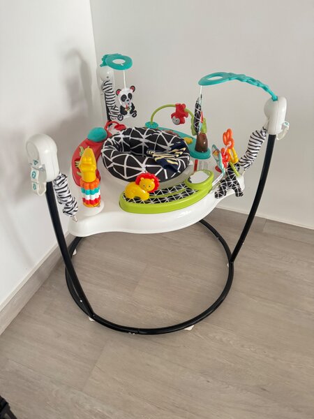Fisher price jumper