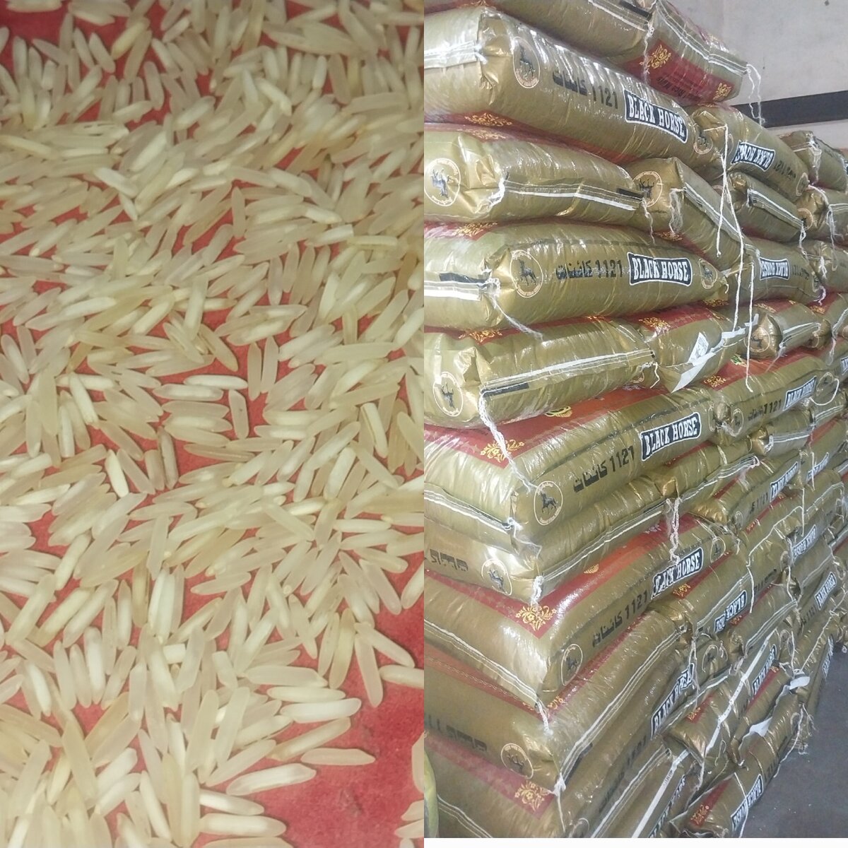 Black Horse 1121 Kinat Xl rice