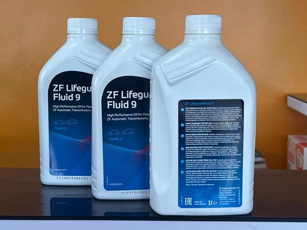 ZF Lifeguard 9 imported from ZF Industries in GERMANY