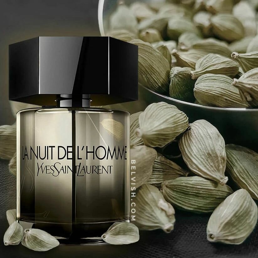 La Nuit de L'Homme - Yves Saint Laurent