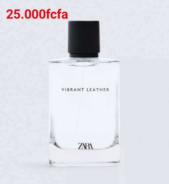 Zara Vibrant Leather Homme