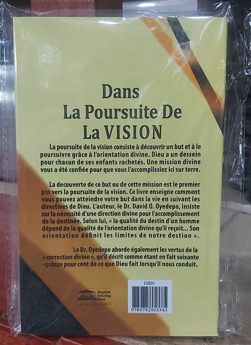 Dans La Poursuite De La VISION