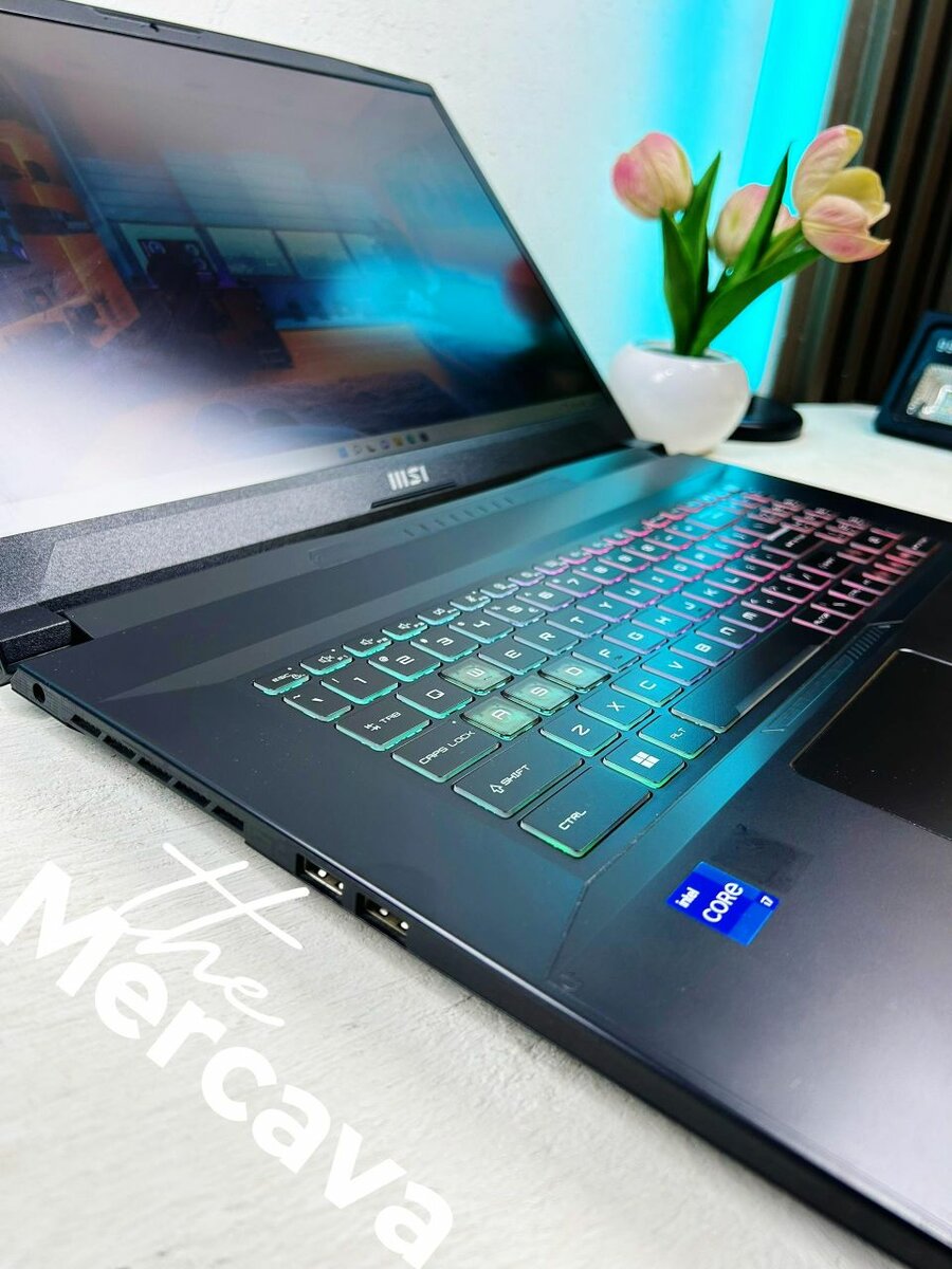 Ordinateur Portable MSI Katana 17"