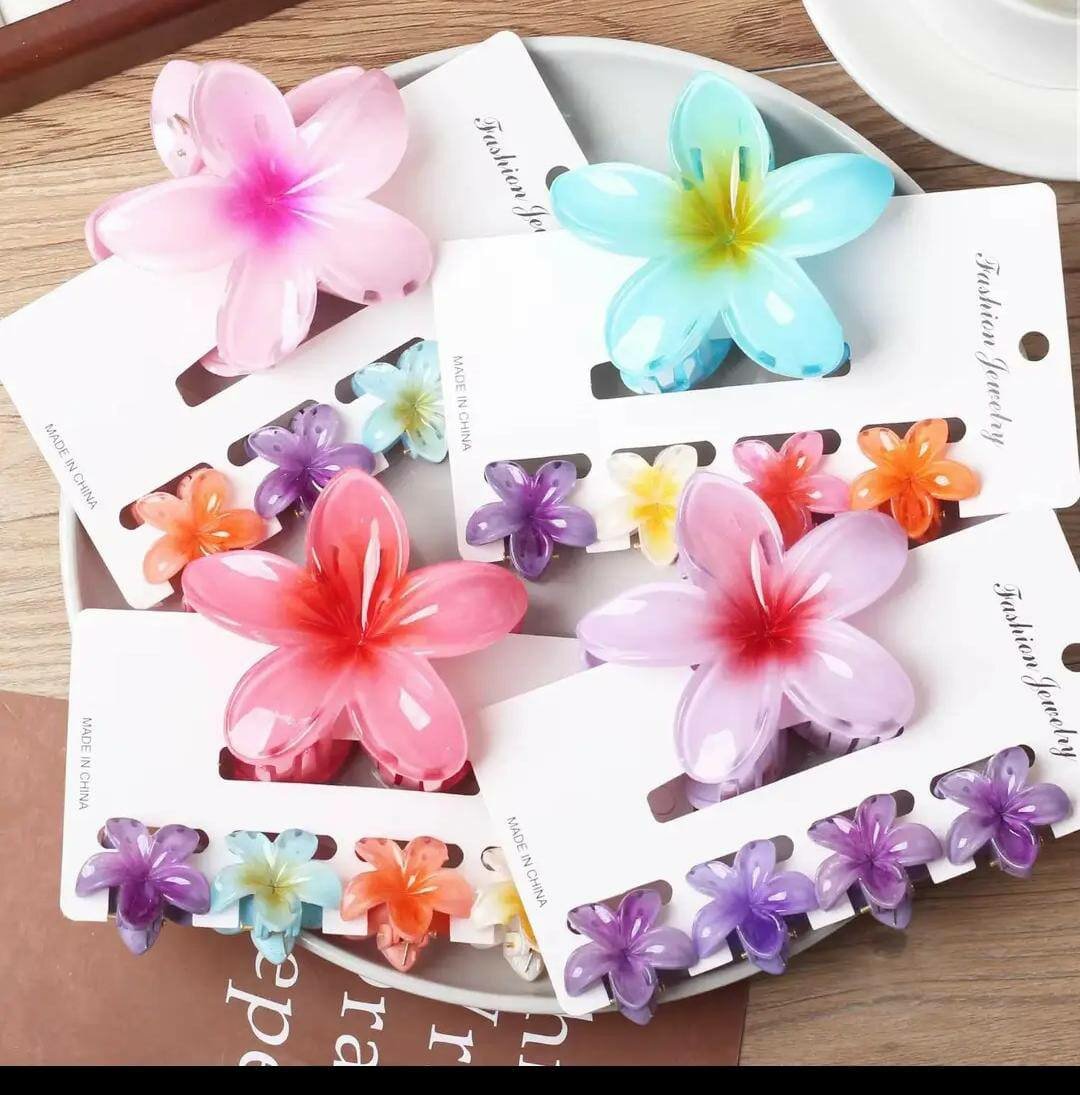 Pinces à cheveux fleurs colorées