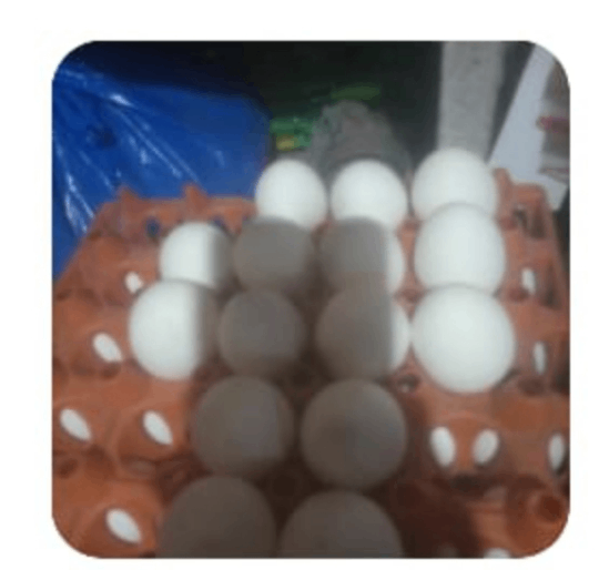 Egg 12 pcs