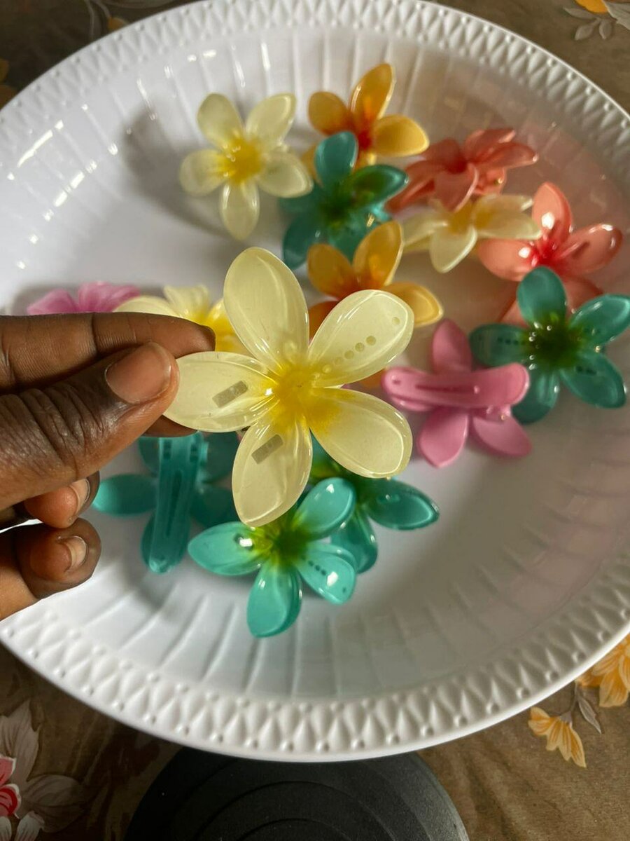 Clips à cheveux fleuries colorées