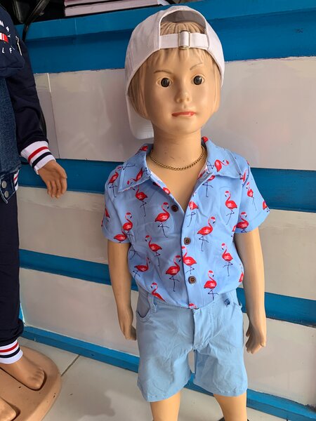 Chemise garçon flamants roses