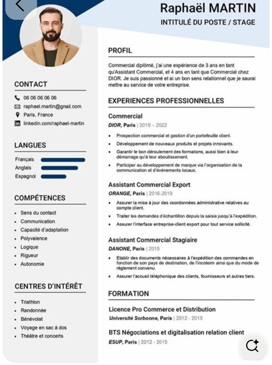 Templates de CV Professionnels
