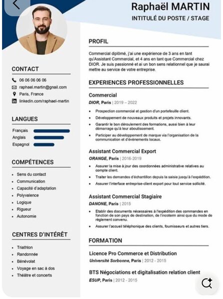Templates de CV Professionnels
