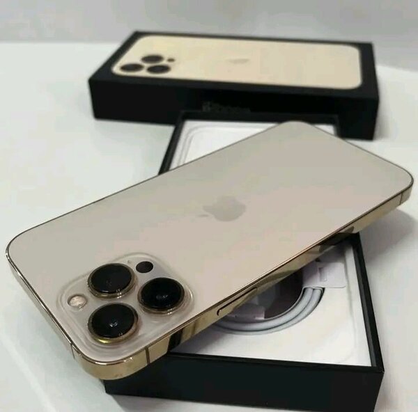 iPhone 11 pros max