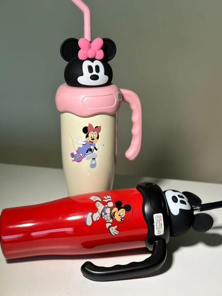 Mickey and Minnie Mouse vacuum bottles