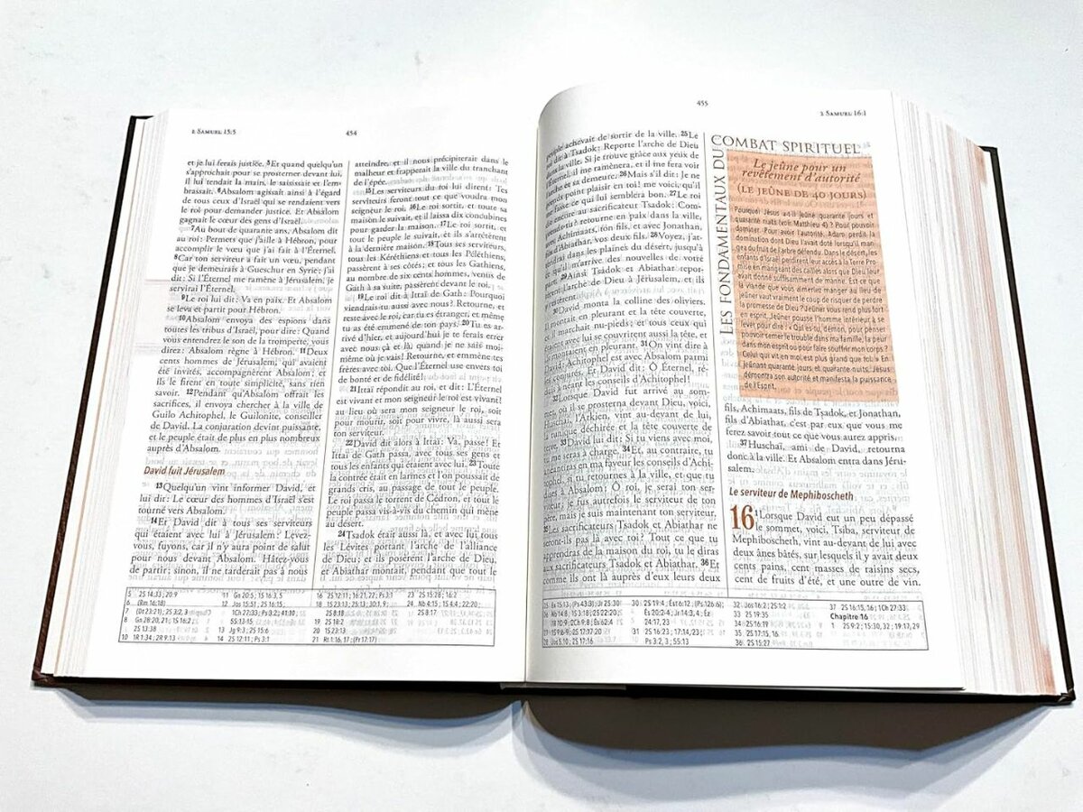 La Bible du Vainqueur