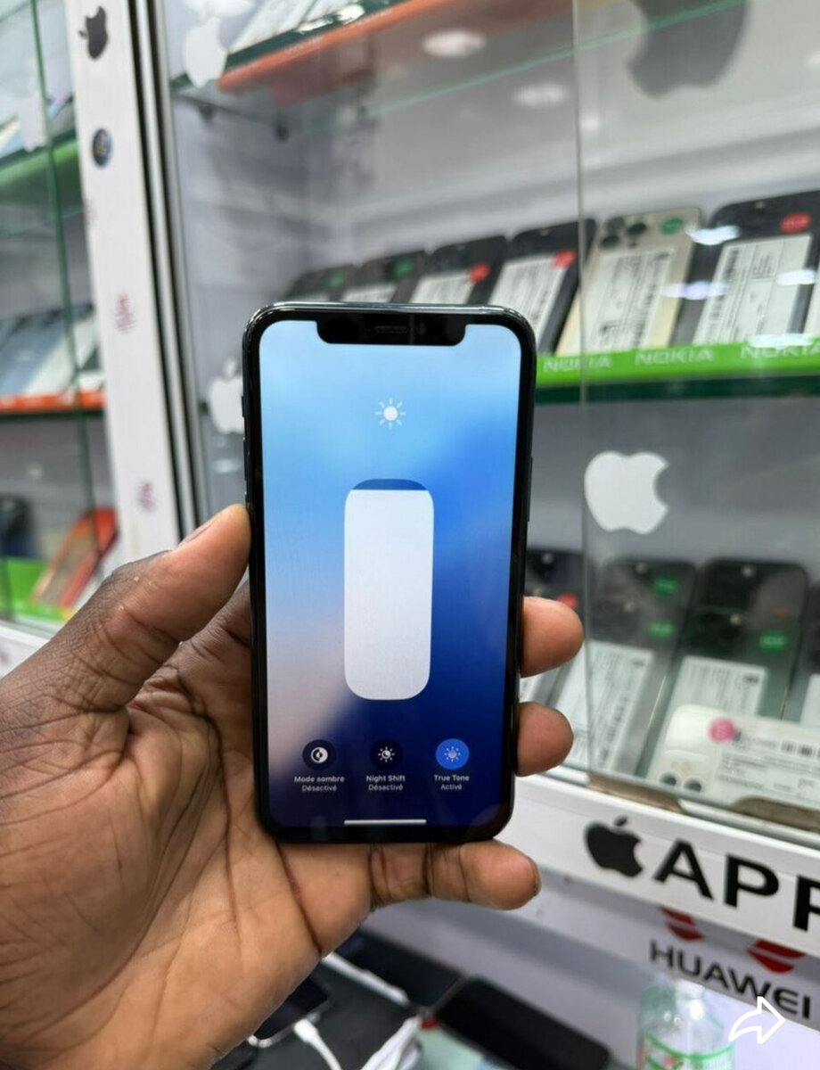 iPhone Pro Max 64Go