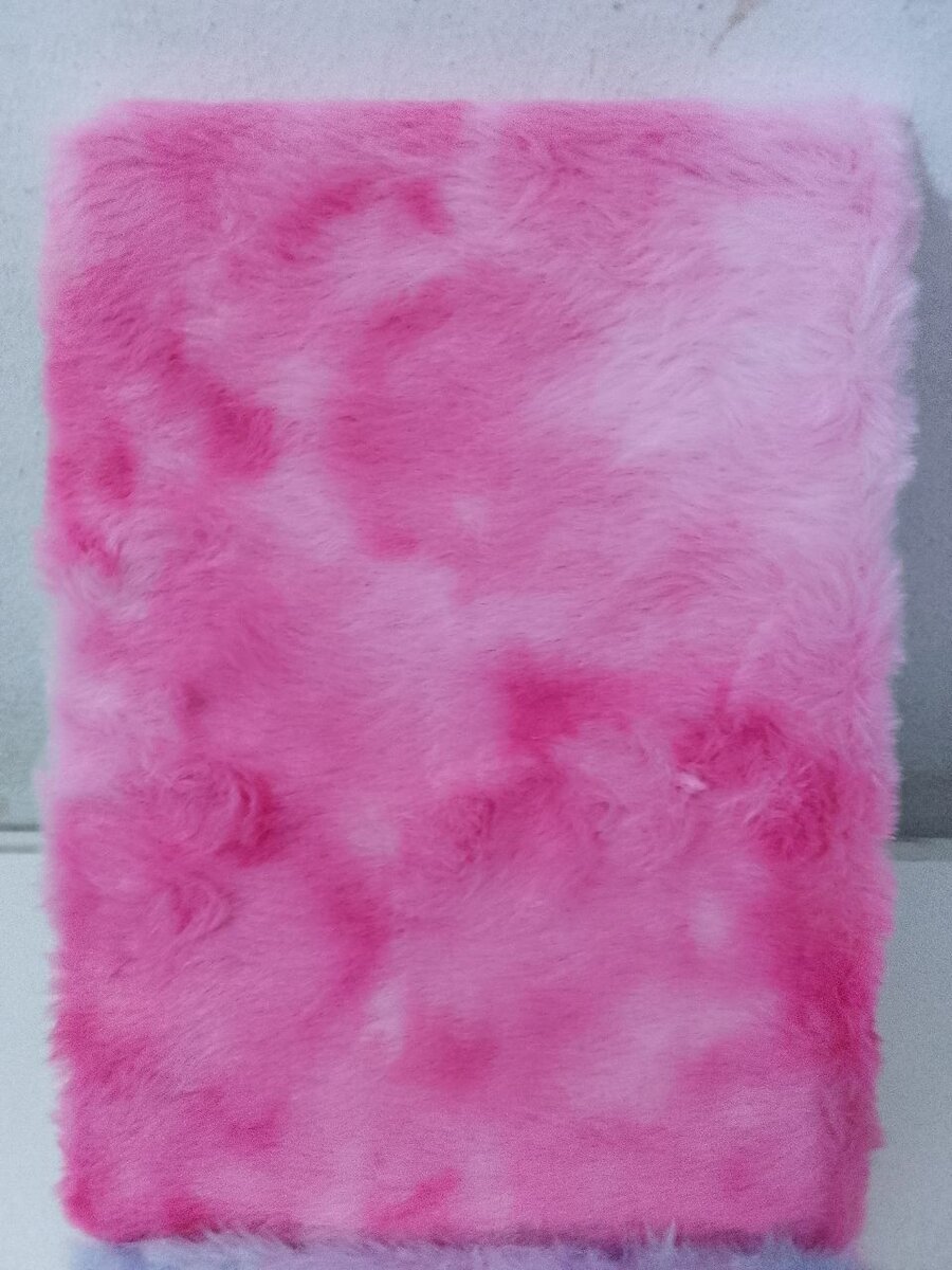 Carnet de notes/Bloc note /Journal intime en couverture de p