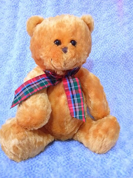 Ours en peluche Saint-Valentin