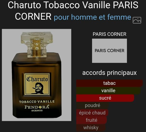 Charuto Tobacco Vanille Unisexe