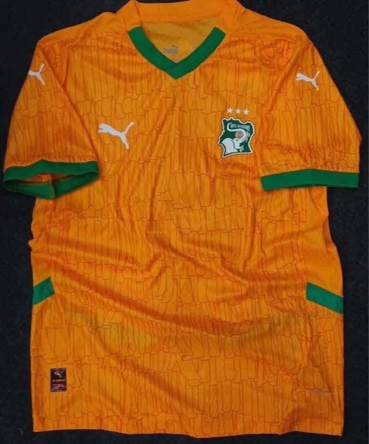 Maillot Côte d'Ivoire Puma