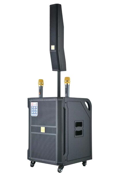 Système Sono Portable Leader SP-1503