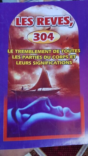 Livre sur les rêves 304