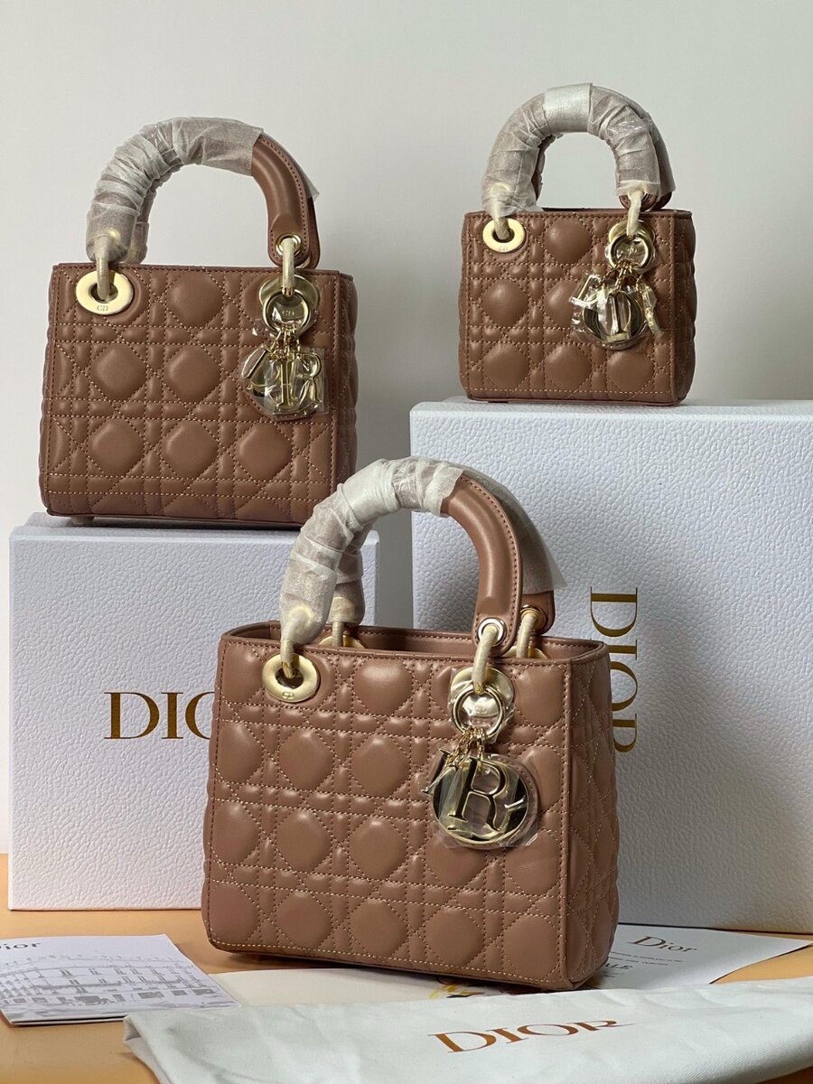 Sac à main élégant Dior