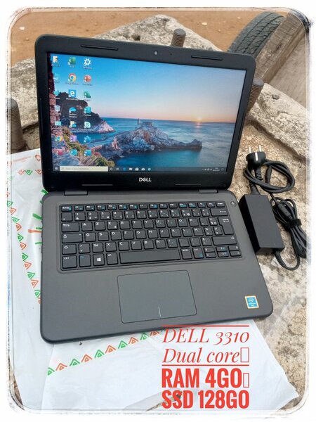 Dell 3310 Dual core