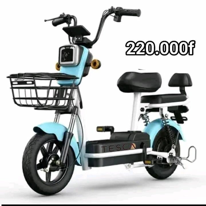 E-bikes élégants et performants