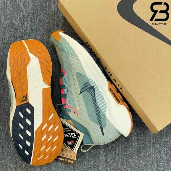 Nike Trail Chaussures GTX