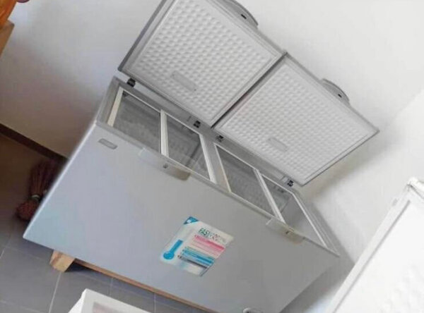 Congélateur Coffre Grande Capacité