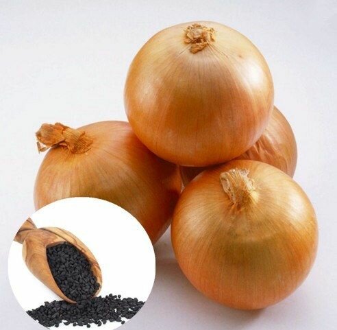 ONION SEEDS
