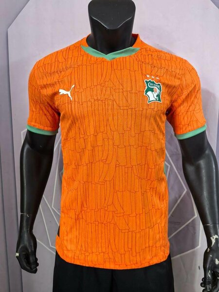 Maillot Côte d'Ivoire Puma