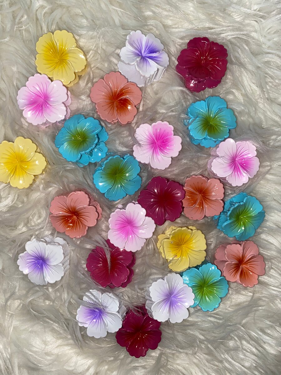 Clips à Cheveux Fleurs Colorées