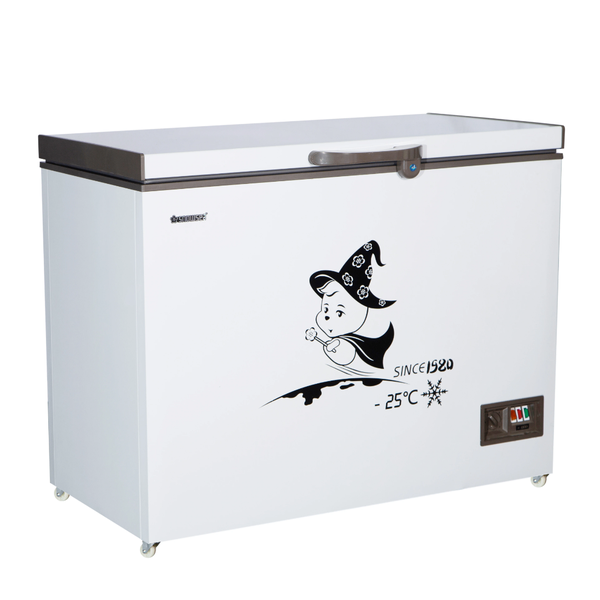 Congélateur coffre 250L