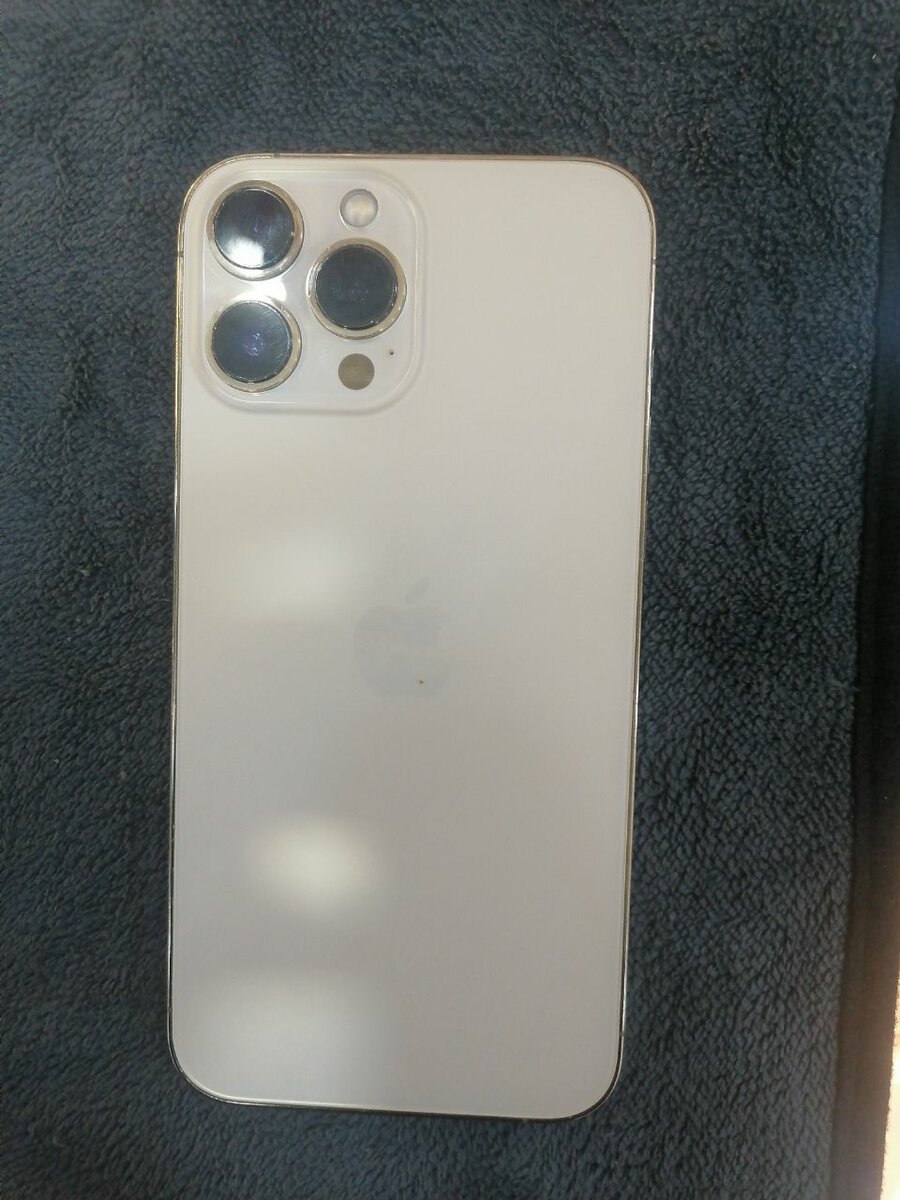 Iphone 13 pro max