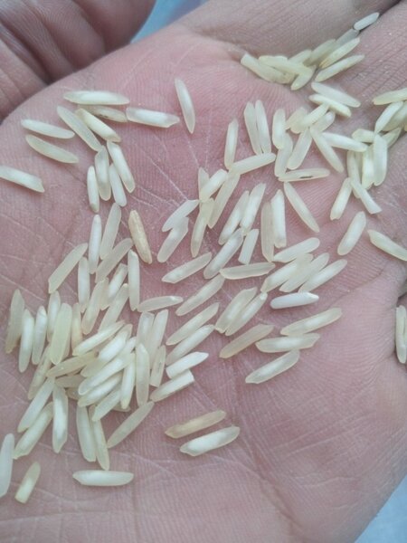 Kainat Steam Rice