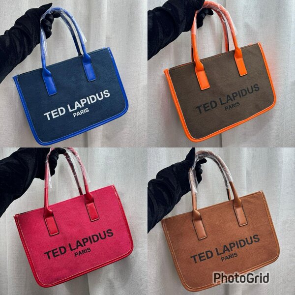 Sac à main TED LAPIDUS