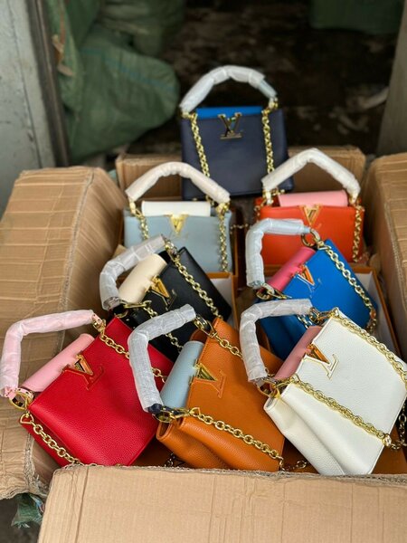 Louis Vuitton Capucines bag