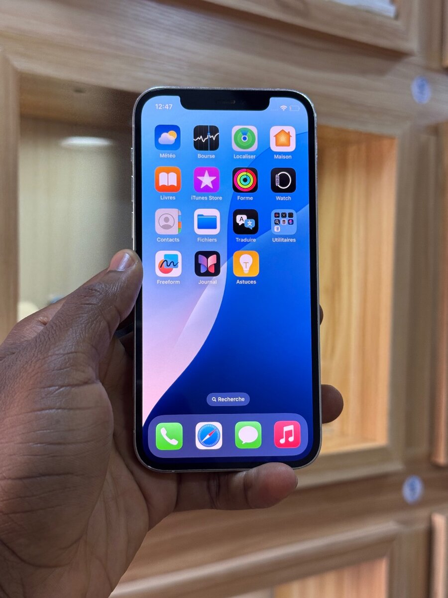 12 Pro 128Go Seconde Main