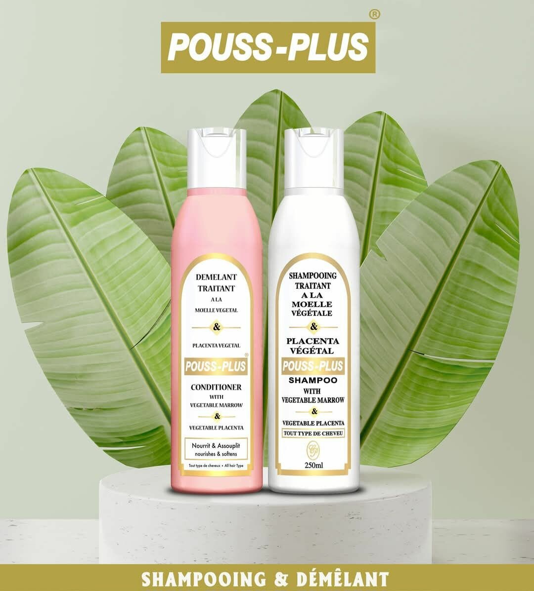 Lot de 2 champoing et démêlant