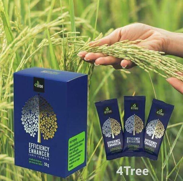 Améliorateur Efficacité 4Tree