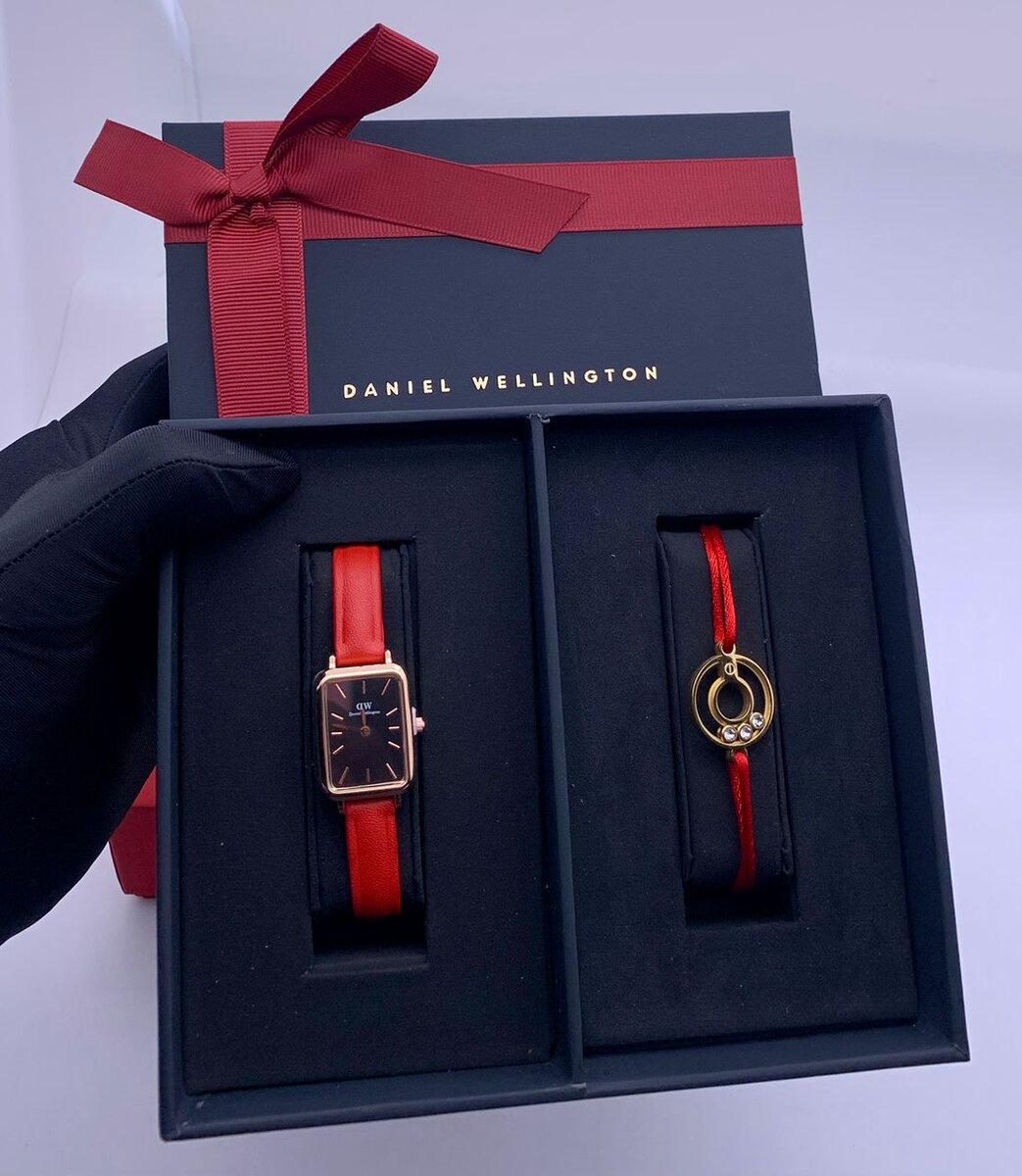 Daniel Wellington Montre Femme Élégante