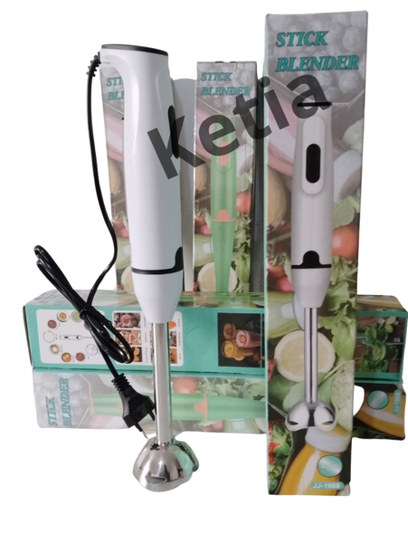 Mixeur Plongeant Puissant