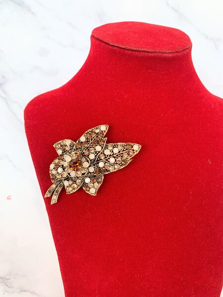 Brooch for ladies