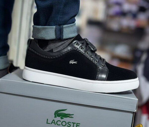 Baskets Lacoste Homme Élégantes