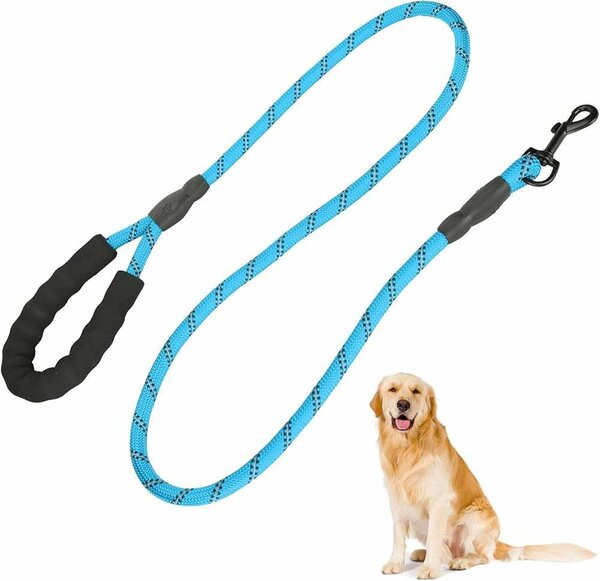 Laisse pour chien simple